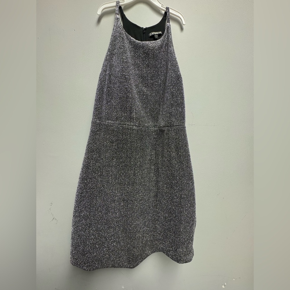 Express Metallic Sleeveless Dress